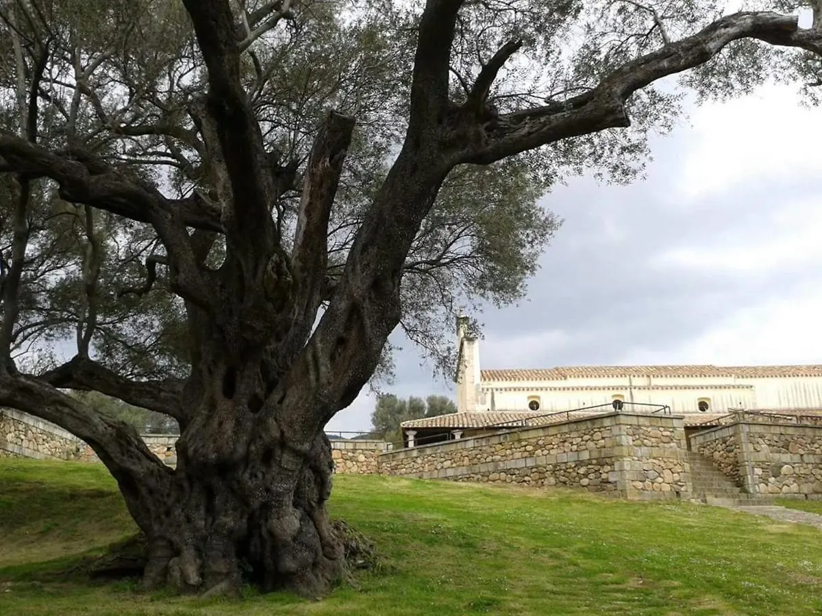 Appartamento Casa Alice Villacidro Italia